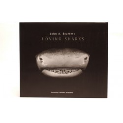 Loving Sharks 摄影集 Loving Sharks 摄影集