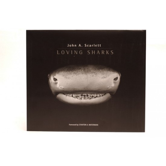 Loving Sharks 摄影集