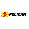 Pelican