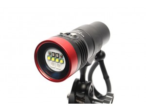 創意打光 - 照亮透明的海洋生物 - 葉魚&軟珊瑚 搭配 F.I.T. 2400 LED UV 燈