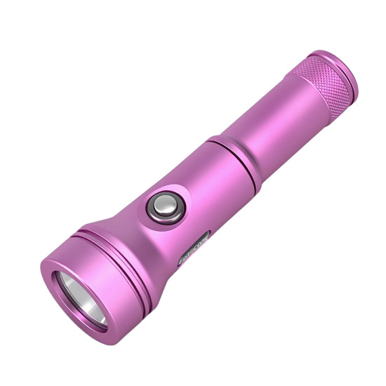 Fotocore D2 潜水备用灯
