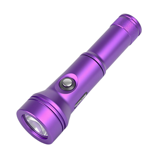 Fotocore D2 潜水备用灯