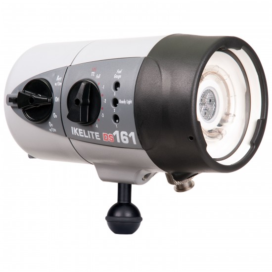 Ikelite DS161 TTL 闪灯+摄影灯/镍锰电池 Ikelite DS161 TTL 闪灯+摄影灯/镍锰电池
