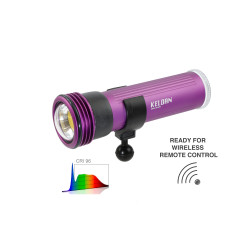 Keldan Video 8XR 17000lm CRI 96 水下摄影灯