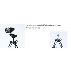 Nauticam 长版多用途箝制夹(钩环) Nauticam 长版多用途箝制夹(钩环)