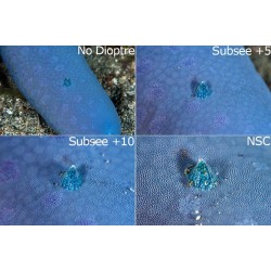 Nauticam 微距镜 SMC-1 (2.3x)