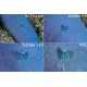 Nauticam Multiplier 1 加倍镜 (需要与SMC-1合用) Nauticam Multiplier 1 加倍镜 (需要与SMC-1合用)