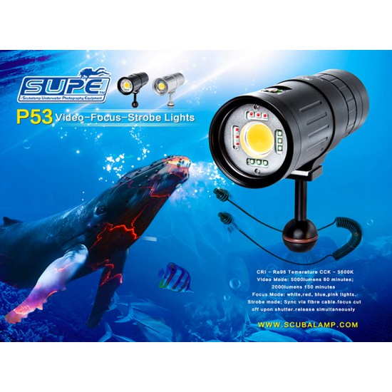 SUPE P53 Video-Focus-Strobe 多用途摄影灯 (5,000 流明) SUPE P53 Video-Focus-Strobe 多用途摄影灯 (5,000 流明)
