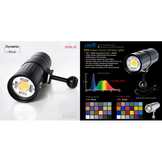 SUPE P53 Video-Focus-Strobe 多用途摄影灯 (5,000 流明) SUPE P53 Video-Focus-Strobe 多用途摄影灯 (5,000 流明)