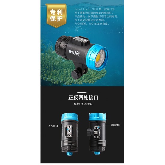 Weefine WF081 Smart Focus 7000 流明摄影灯 (有闪灯模式, 包含球座, RA80, 5700K)