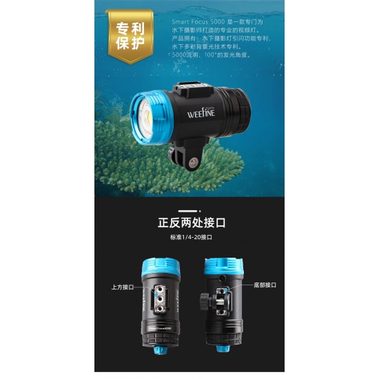 Weefine WF082 Smart Focus 5000 流明摄影灯 (有闪灯模式, 包含球座, RA80, 57000K)